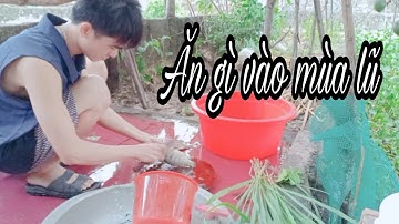 Ăn gì vào mùa lũ - Thả lưới bắt cá | Catch fish in flood season