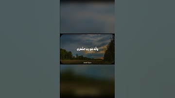 📖✨ تلاوة خاشعة من القرآن الكريم بصوت مؤثر يريح القلب 🌙🤍