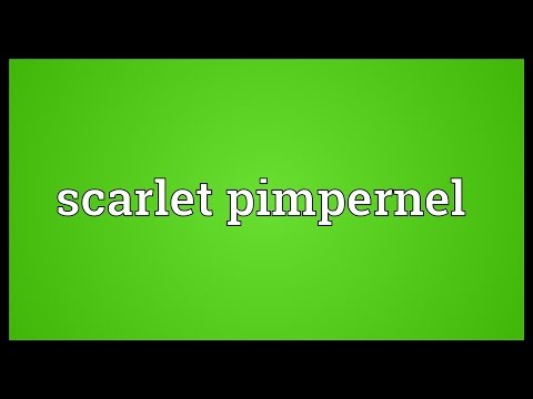 Βίντεο: Αναγνώριση ζιζανίων Scarlet Pimpernel - Μάθετε για τον έλεγχο του Scarlet Pimpernel