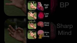 Exercise To Control High BP, Low BP, Sharp Mind, Stress & Anxiety ✨#youtubeshorts #shorts