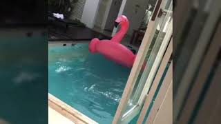 Astana Kunti Private Pool (Bali Part 4) #InaGalihStory Astana Kunti Private Pool (Bali Part 4) #InaGalihStory