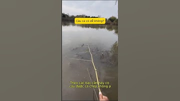 Cần câu cá tự chế bao móm #cauca #fishing #cancau