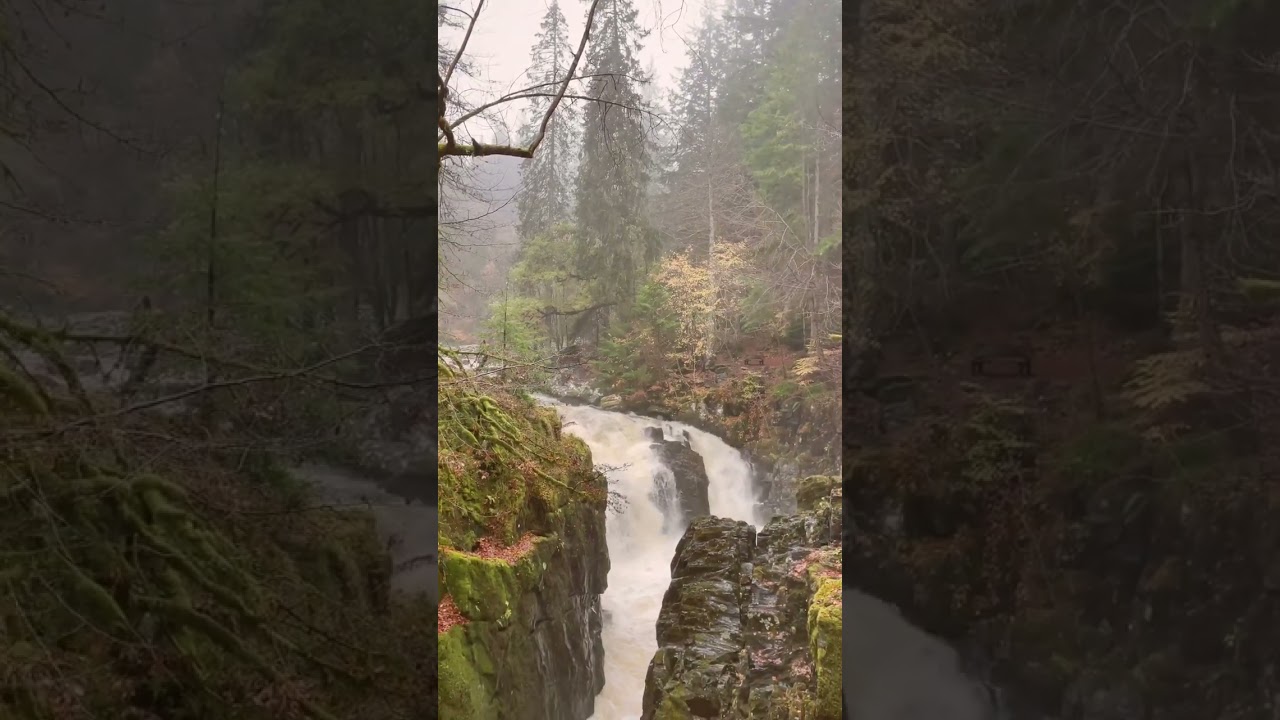 The Hermitage Waterfall - Dunkeld