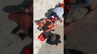 How can you survive a shark attack? #surfing #sharkattack #beprepared #cattourniquet