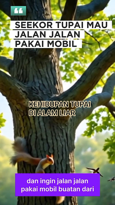 TUPAI LUCU JALAN JALAN PAKAI MOBIL#tupai #tupailucu #shortvideo #shorts #animals
