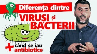 Iată diferențele dintre viruși (virusuri) și bacterii