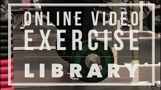 Online Video Exercise Library