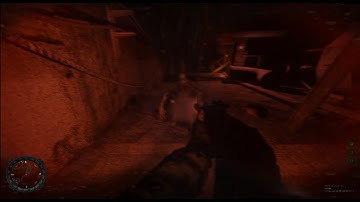 S.T.A.L.K.E.R. SOC (Autumn Aurora) - Agroprom Bloodsucker