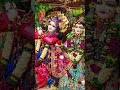 Shri Radhe Radhe#varal #video #trending #songs ♥️🙏