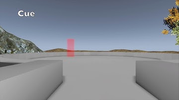 Playback Working Memory Task