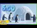 5 Minute Music Timer With Cool Penguins And An Igloo