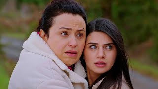 Love and Hope: Episodes 331-336 - Revealed Secrets and the Threat of Death