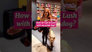 I'm blind, this is how I navigate the shopping centre with my guide dog screenshot 3