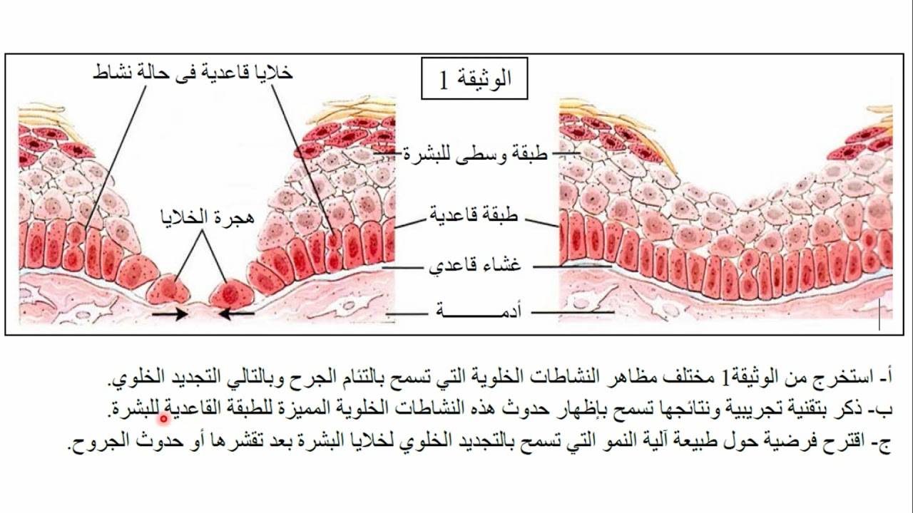 الفرض الاول في العلوم الطبيعية للسنة الاولى ثانوي