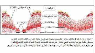 الفرض الاول في العلوم الطبيعية للسنة الاولى ثانوي