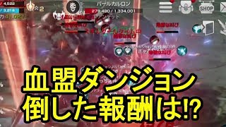 リネレボ 血盟ダンジョンボスを倒した報酬は リネージュ2レボリューション Youtube