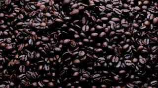 Coffee Beans Stock Video