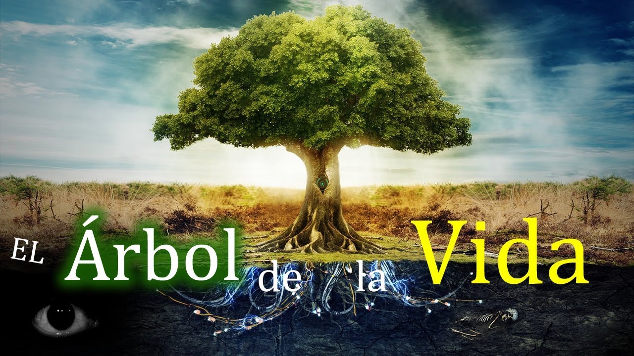 El árbol de la vida  Significado en la Biblia