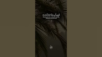 سورة ص-اية34 وَلَقَدْ فَتَنَّا سُلَيْمَـٰنَ وَأَلْقَيْنَا عَلَىٰ كُرْسِيِّهِۦ جَسَدًا ثُمَّ أَنَابَ