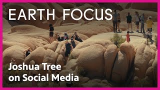 What Joshua Tree's Social Media Presence Means for Tourism | Earth Focus | PBS SoCal