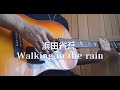 浜田省吾/Walking in the rain cover