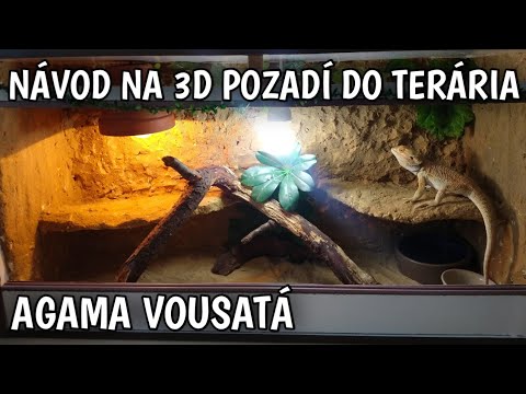 Video: Jak změníte barvu pozadí na krajtě želvě?