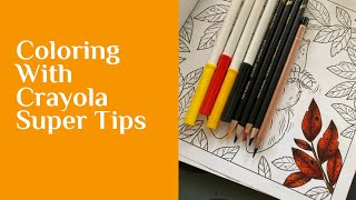 How I Use Crayola Super Tips in My Adult Coloring Books!