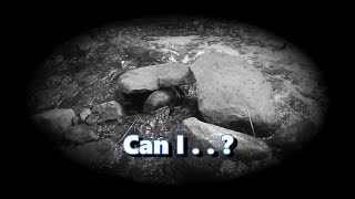 Can I . . . ? #songtember