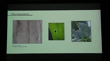 Reconstructing Early Paleogene forests, food webs and climate using the fossil leaves of Wyoming