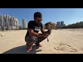 تربيب حر وحش خلوي - الجزء الثالث  how to train wild falcon - episode 3