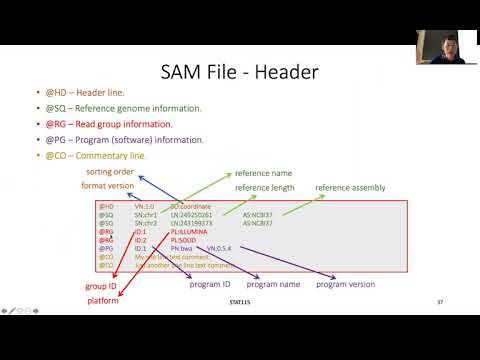 STAT115 Chapter 3.6 SAM and BAM files