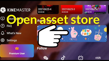 how to fix asset store problem in kinemaster?