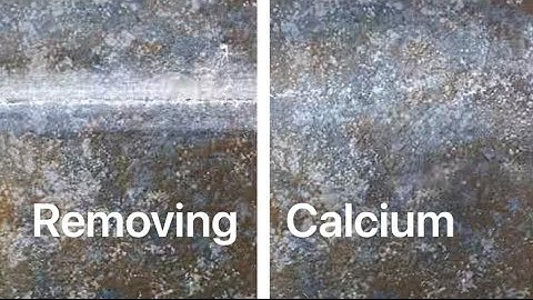 Remove Calcium from Pool Tiles (BEST WAY!)