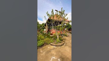 Nhà vườn view suối giá 3,2tỷ sào có 700 thổ cư yên bình thích hợp nghỉ dưỡng thuânk tiện ra sân bay