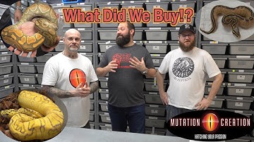 $100,000 Snakes! Epic Tour of Mutation Creation!