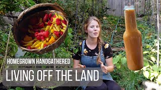 Living off Homegrown Food (Making Hot Sauce) by Homegrown Handgathered 16,129 views 7 months ago 8 minutes, 21 seconds