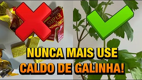 Como é feito o caldo de carne Knorr?