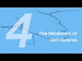 Paulwin the Dakosaurus 4: The Hindlimbs | Learn to Draw Marine Animals with ZHAO Chuang