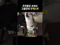 사람말하는 댕댕이 (제2외국어) [팟개스트 ep.10]