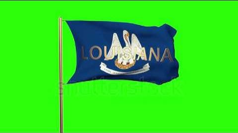 louisiana flag with title waving in the wind. Looping sun rises style. Animation loop Stock video