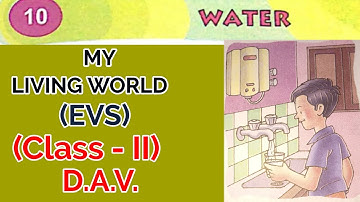 My Living World,EVS, Class II, DAV Public School, Chapter 10 , water