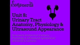 Urinary Tract Normal Anantomy, Physiology & Ultrasound Appearance screenshot 3