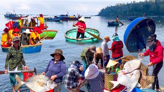 Đảo Tam Hải Quảng Nam | Cá Liệt Ngãng Lớn 110k/kg