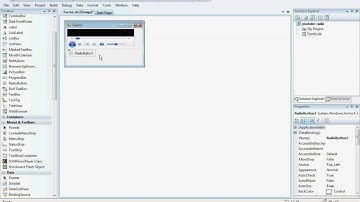 visual basic radio.avi