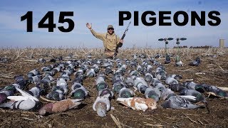 SHOOTING 145 PIGEONS!! EPIC KANSAS PIGEON HUNTING