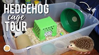 Hedgehog CAGE TOUR! 🦔 | Hedgehog Care | Collab
