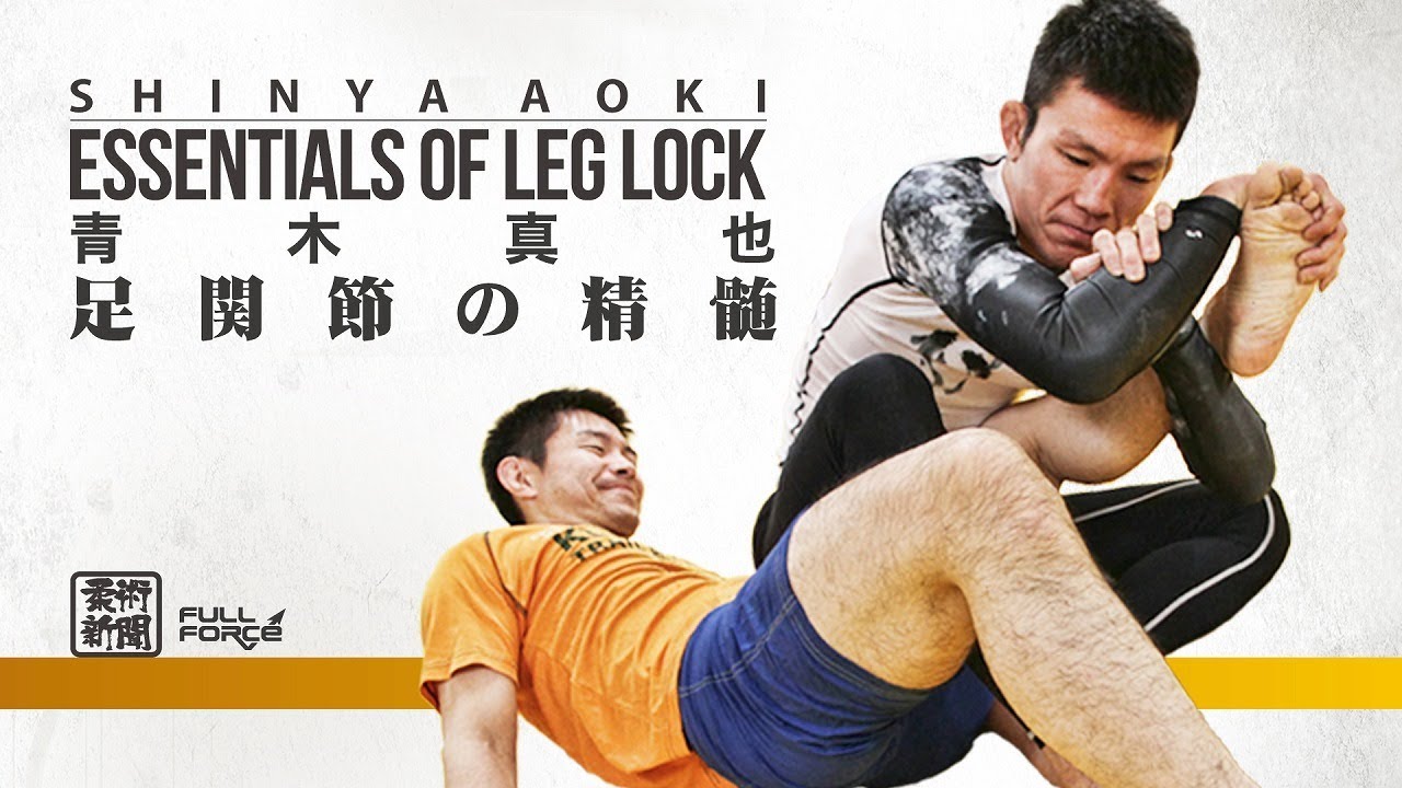 送料無料キャンペーン?】 柔術DVD LEG LOCK ENCYCLOPEDIA 足関節