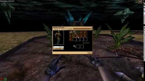 Unreal Gold | RLCoop | Beta maps part 12: bootleg skytown