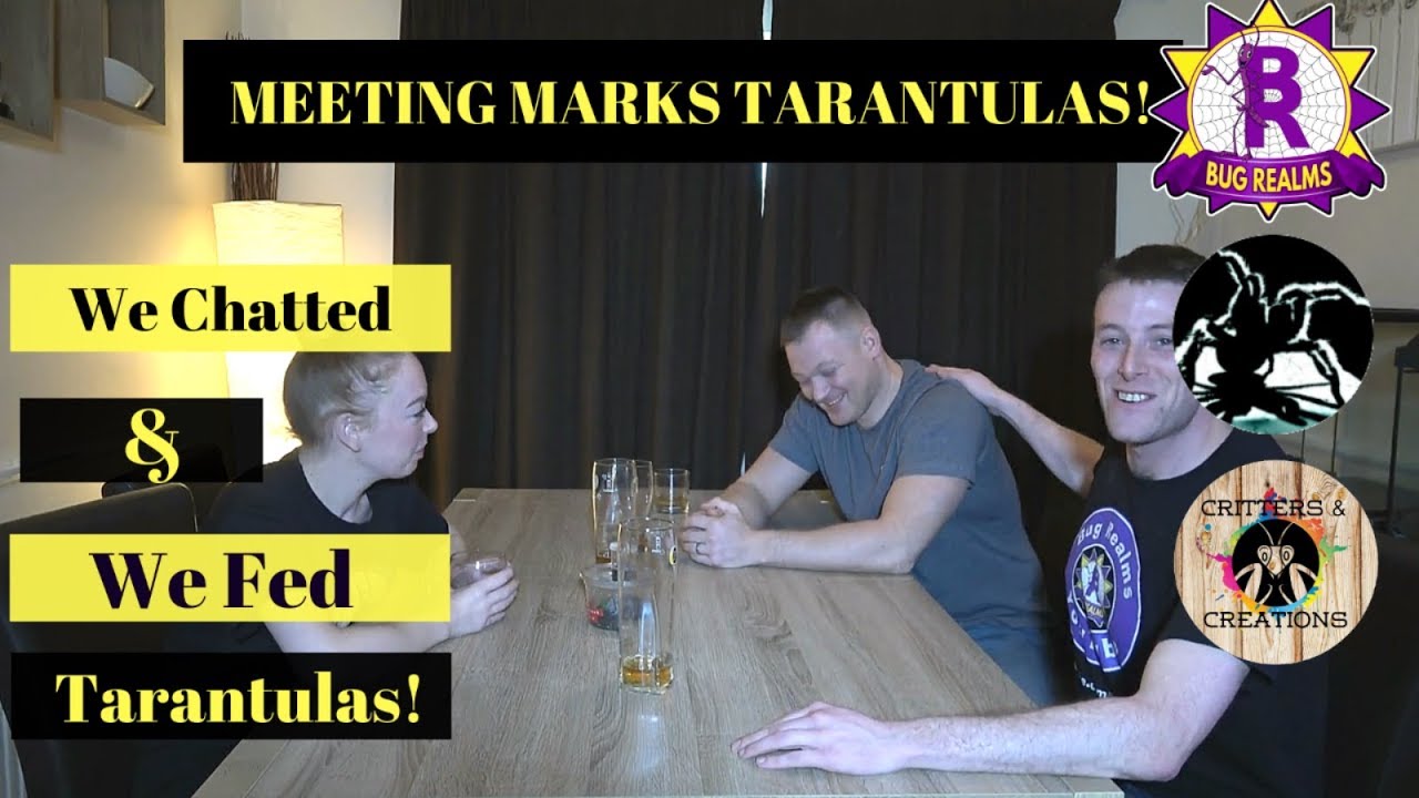 Meeting MARKS TARANTULAS   Chatting, Feeding & Pub!