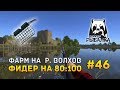 Русская рыбалка 4 #46 - Фарм на р. Волхов. Фидер на 80:100